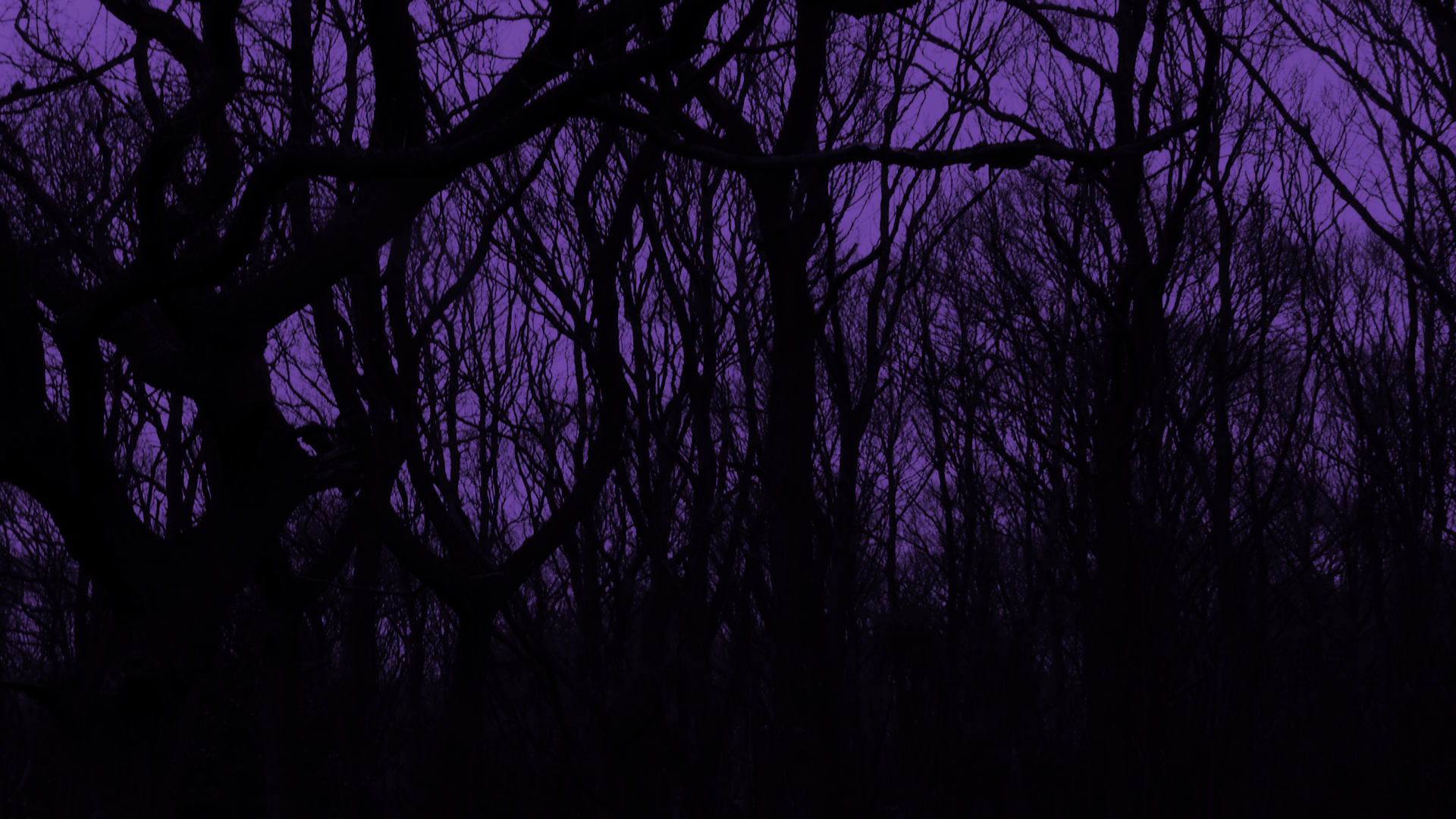 Spooky Season Shorts – Ghost Stories for Halloween – Week 1